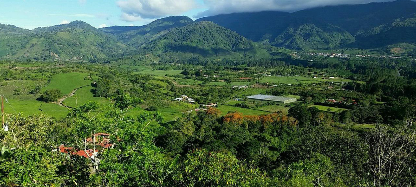 Ecología del paisaje y conservación de la biodiversidad